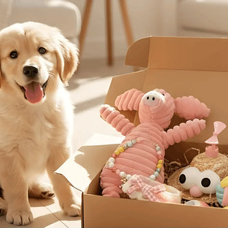 Selection of modern pet essentials and accessories for dogs, including walking gear, bowls, and toys.