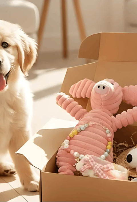 Selection of modern pet essentials and accessories for dogs, including walking gear, bowls, and toys.