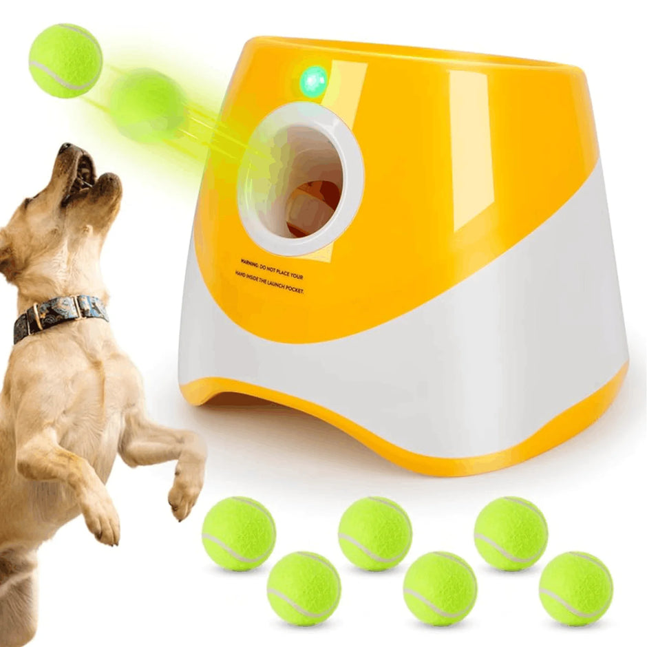 Dog playing with a yellow and white ball launcher with tennis balls on a white background