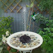 Hummingbird flying over a bird bath with water fountain surrounded by greenery
