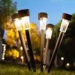 Solar pathway lights on grass with a blurred background of trees and lights
