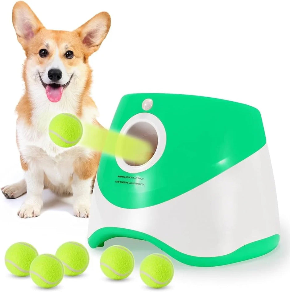Dog playing with a green and white ball launcher with tennis balls on a white background