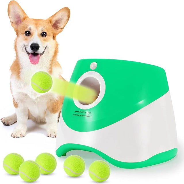 Dog playing with a green and white ball launcher with tennis balls on a white background