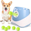 Dog with a toy and tennis balls on a white background
