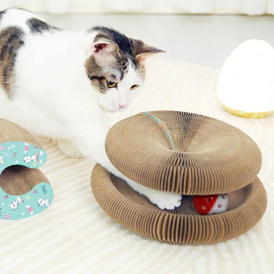 Cat playing with a cardboard cat toy on a soft surface