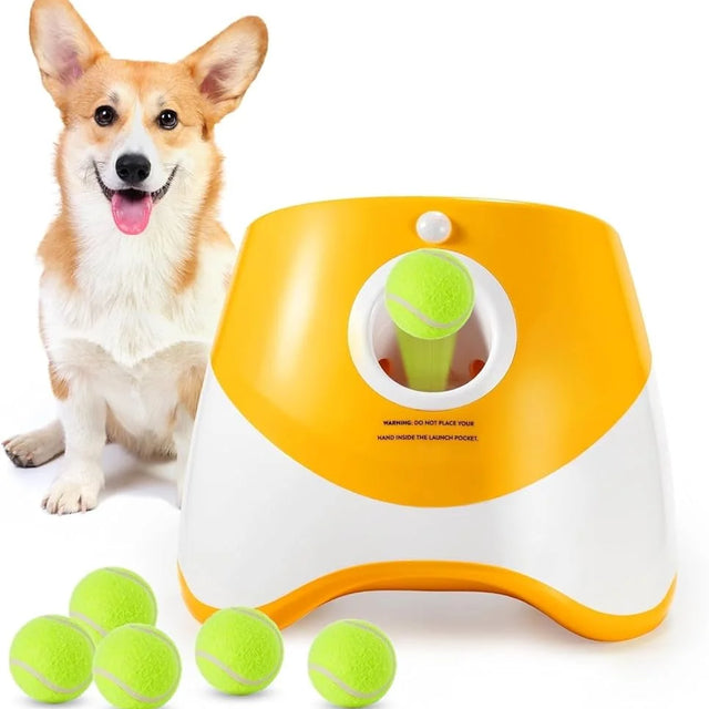 Dog next to a yellow and white ball launcher with tennis balls on a white background