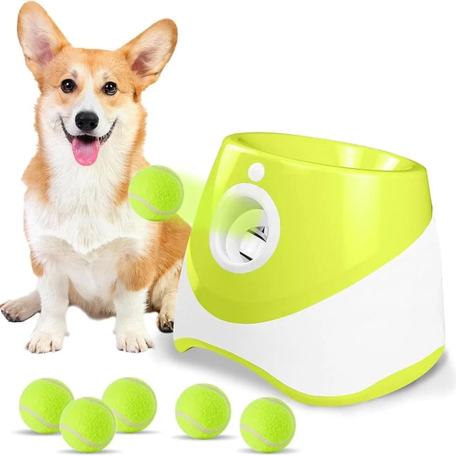 Dog with a green and white ball launcher and multiple tennis balls on a white background