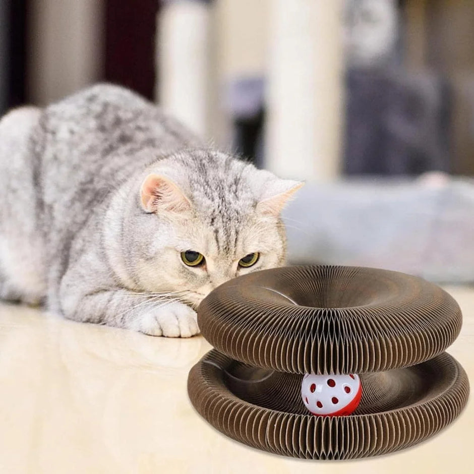 Cat playing with a cardboard cat toy on a light-colored surface.