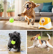 Dog playing with a green ball, followed by a product image of a yellow and white device, and then dogs playing with the ball in water and grass.