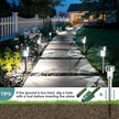 Pathway illuminated by solar-powered garden lights with a house in the background.