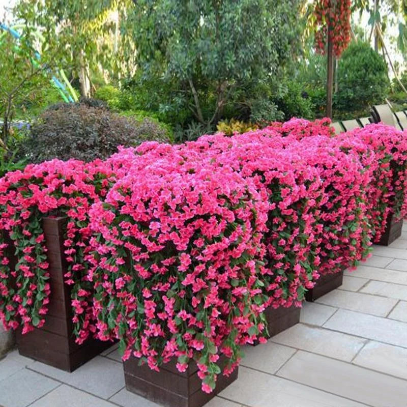 Row of pink flowering plants in brown pots on a patio