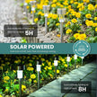 Solar-powered garden lights with charging and lighting duration information in a garden setting.