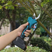 Hand holding a blue and black gardening shear against a blurred green garden background