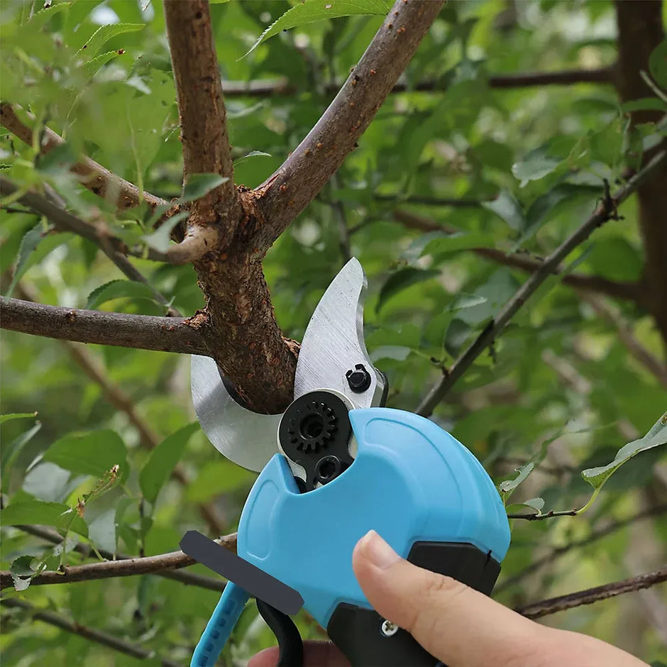 Hand holding a blue electric pruner against a tree branch with green leaves in the background