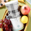 White juicer with fruits like grapes, apple, and lemon on a green background