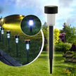 Solar garden lights in a garden setting with close-up inset showing light emission.