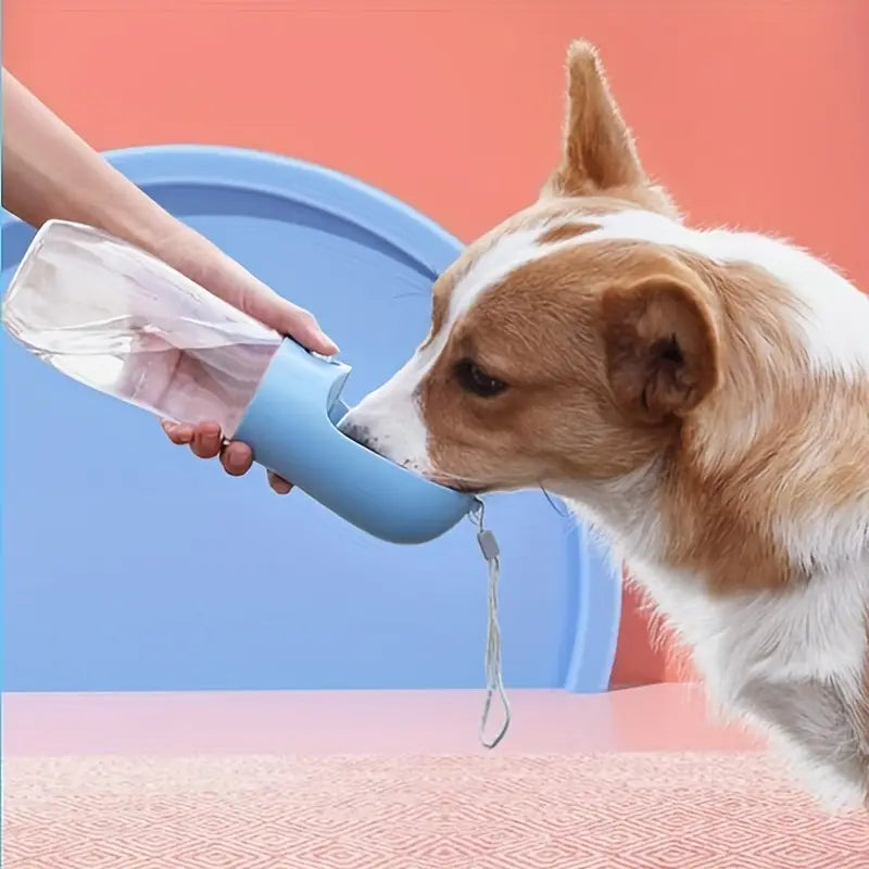 Dog drinking from a blue water bottle held by a person against a pink background
