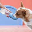 Dog drinking from a blue water bottle held by a person against a pink background