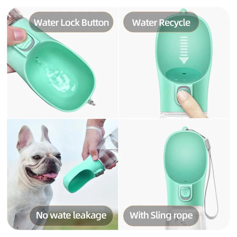 Green pet water bottle with features highlighted on a white background
