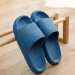 Pair of blue slides on a wooden floor