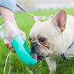 Dog drinking from a portable water bottle held by a person in a grassy area