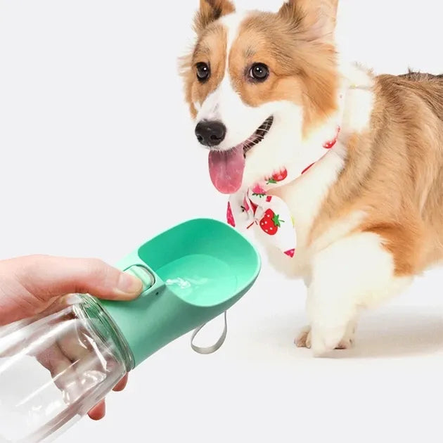 Dog wearing a bandana with a green pet water bottle held by a hand on a white background