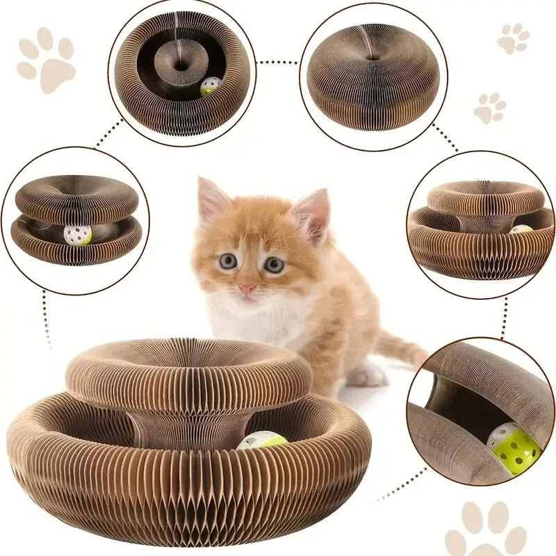 Cardboard cat toy with a kitten playing with it on a white background